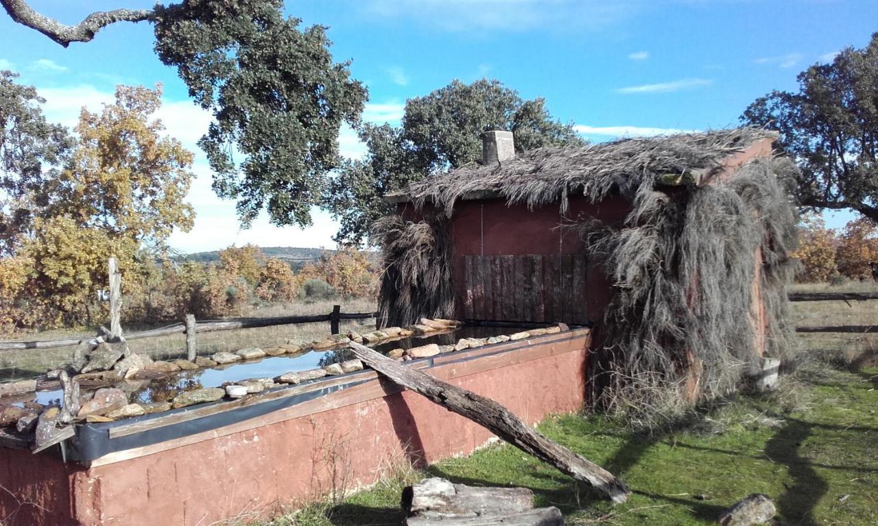 Eco-Lodge En La Reserva Privada Campanarios De Azaba - Proyecto De Conservacion Espeja Exterior photo